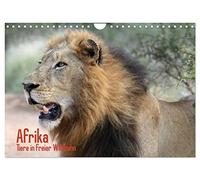 Afrika. Tiere in freier Wildbahn (Wandkalender 2026 DIN A4 quer), CALVENDO Monatskalender: Eine Fotosafari zu den wildlebenden Tieren in Afrika