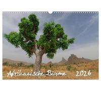 Afrikanische Bäume (Wandkalender 2026 DIN A3 quer), CALVENDO Monatskalender: Faszinierende Aufnahmen von Solitairbäumen im südlichen Afrika
