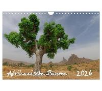 Afrikanische Bäume (Wandkalender 2026 DIN A4 quer), CALVENDO Monatskalender: Faszinierende Aufnahmen von Solitairbäumen im südlichen Afrika