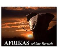 Afrikas schöne Tierwelt (Wandkalender 2026 DIN A2 quer), CALVENDO Monatskalender: Die vielfältige Tierwelt Afrikas ganz nah bestaunen