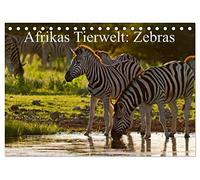 Afrikas Tierwelt: Zebras (Tischkalender 2026 DIN A5 quer), CALVENDO Monatskalender: Afrikas wilde "Pferde" , charismatisch, anmutig, wunderschön