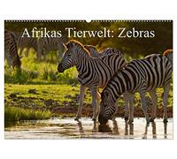 Afrikas Tierwelt: Zebras (Wandkalender 2026 DIN A2 quer), CALVENDO Monatskalender: Afrikas wilde "Pferde" , charismatisch, anmutig, wunderschön