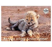Afrikas wildes Kinderzimmer (Wandkalender 2026 DIN A2 quer), CALVENDO Monatskalender: Begegnungen mit dem wilden Nachwuchs