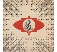 Afro Celt Sound System - Anatomic
