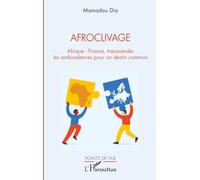 Afroclivage: Afrique - France, transcender les ambivalences pour un destin commun