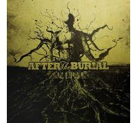 After the Burial Rareform (Vinyl) 12" Album (Importación USA)