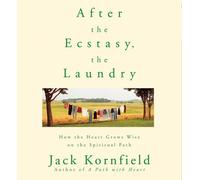 After the Ecstasy - the Laundry
