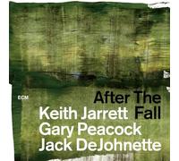 AFTER THE FALL (LIMITED EDITION)