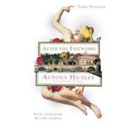 After The Fireworks (ebook)