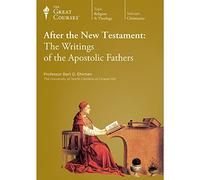 After the New Testament : The Writings of the Apostolic Fathers