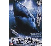 After the Storm [00e/Dd] [Alemania] [DVD]