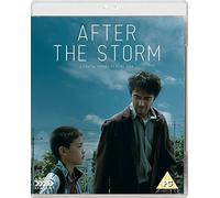 After The Storm (Blu-ray)