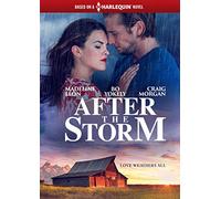 After the Storm (Harlequin) [USA] [DVD]