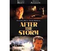 After the Storm [Reino Unido] [DVD]