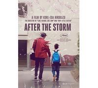 After the Storm [USA] [DVD]