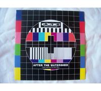 After The Watershed - Carter The Unstoppable Sex Machine 7" 45