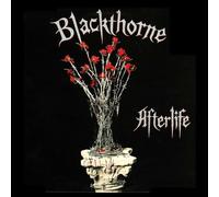 Afterlife [Vinilo]