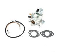 Aftermarket CarFor Buretor para LT-166 16 caballos de fuerza para motor de vanguardia para B & S para césped y equipos industriales