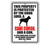 Afterprints Cartel metálico de aluminio con texto en inglés «This Property is Protected by The Good Lord A Cane Corso Dog»