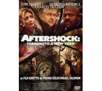 Aftershock - Terremoto a New York [Italia] [DVD]