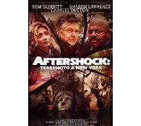Aftershock - Terremoto a New YorkK [Italia] [DVD]