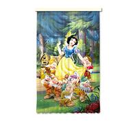 AG Design Cortinas - Princesas Disney - Cortinas para niños - Impresión fotográfica 3D - 140 x 245 cm - 1 Parte - FCSL 7115