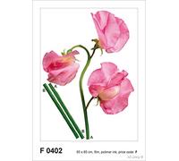 AG DESIGN F 0402 Pegatinas de Pared autkleber Flores