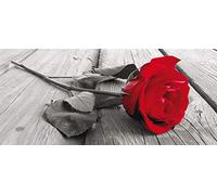 AG Design FTNH 2717 Mural fotográfico para la Pared, Multicolor, 202 x 90