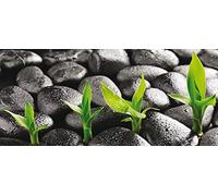 AG Design FTNH 2719 Mural fotográfico para la Pared, Fiel, Multicolor, 202 x 90