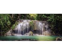 AG Design FTNH 2743 Mural fotográfico para la Pared, Fiel, Multicolor, 0.1x202x90 cm