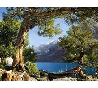 AG Design Ftss 0833 Mural Fotográfico para La Pared, 0.1X180X127 Cm, Multicolor
