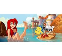 AG Design - Mural fotográfico para la Pared - No Tejido Kids Disney - Princesas Disney - Papel Pintado fotográfico - Póster Gigante de Pared - 202 x 90 cm - 1 Parte - FTDNH 5363