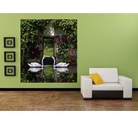 AG Design Papel Pintado Fotográfico FTL 1636 phot omurals Cygnus