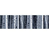 AG Design WB 8207 Borde De Papel Pintado, Multicolor, 5 x 0.14 m