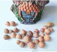 Agallas de Roble enteras, GALL NUT, 500gr., Quercus infectoria, Tinte Natural 100% para hilos y fibras naturales.