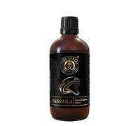 Agaricus Blazei - Extracto de seta de almendras orgánicas (100 ml)