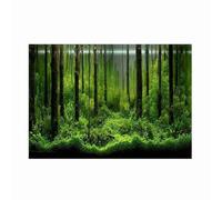 Agatige Fondo de decoración de Acuario, Papel Tapiz Autoadhesivo de PVC para pecera, telón de Fondo de Bosque Submarino, Fondo de terrario de Reptiles para pecera de Acuario (76 * 46cm)