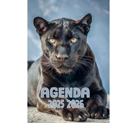 Agenda 2025-2026: Scolaire panthère noire | Journalier (une page par jour) | Septembre à Juillet | 14,8 x 21 cm | Collège et Lycée et primaire | Animal & animaux | garçon et fille.
