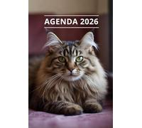 AGENDA 2026 - CHAT: Petit format de poche | 4 langues | Janvier à Décembre 2026 | 52 semaines | 1 semaine sur 2 pages | Format pratique 10x15 cm, 115 pages | Fantaisie, original | Cadeau à offrir