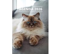 AGENDA 2026 - CHAT: Petit format de poche | 4 langues | Janvier à Décembre 2026 | 52 semaines | 1 semaine sur 2 pages | Format pratique 10x15 cm, 115 pages | Fantaisie, original | Cadeau à offrir