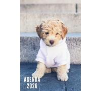 Agenda 2026: Chiot - Semainier et Mensuel de Janvier à Décembre 2026 | 12 Mois | Idéal pour Les Étudiants, Professionnels et Particuliers | Calendrier, Liste de Contacts, Notes