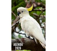 Agenda 2026: Oiseaux - Semainier et Mensuel de Janvier à Décembre 2026 | 12 Mois | Idéal pour Les Étudiants, Professionnels et Particuliers | Calendrier, Liste de Contacts, Notes