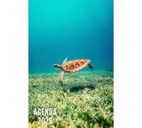 Agenda 2026: Tortue Marine - Semainier et Mensuel de Janvier à Décembre 2026 | 12 Mois | Idéal pour Les Étudiants, Professionnels et Particuliers | Calendrier, Liste de Contacts, Notes