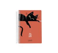 AGENDA ESCOLAR DIA PAGINA (Haz lo que tede la gana pero que te haga feliz, A6)