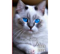 Agenda Scolaire 2025 2026 Chat: 1 Jour par page, carnet organiseur journalier étudiant primaire collège lycée - Garçon et Fille