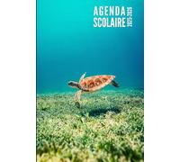 Agenda Scolaire 2025 2026: Tortue - Journalier Pour Filles et Garçons en Primaire, collège et lycée | De Septembre 2025 à Juillet 2026