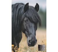Agenda Scolaire 2026 2027 Cheval Noir: Organisateur Scolaire , Une semaine sur 2 pages , Primaire, Collège, Lycée pour Fille et Garçon