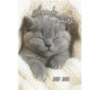 Agenda Scolaire: Chat, Chaton | 1 Page Par Jour | Étudiant, Lycée, Collège, Primaire, CP, CE1, CE2, CM1, CM2 Pour la Rentrée Scolaire | Pour Fille ou Garçon