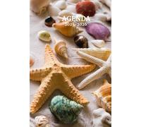 Agenda scolaire journalier 2025-2026-Thème vacances-Plage-Sable-Coquillage-Etoile de mer (12.85x19.84 cm) 1 page par jour
