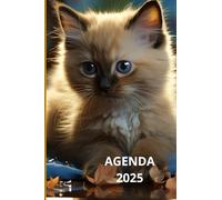 AGENDA SCOLAIRE Semainier 2025: format de poche 10x15cm, une semaine sur 2 pages, de décembre 2024 à janvier 2016, palges horaires 8h00 à 19h00: Idéal pour Etudiants de Primaire, Collège, Lycée